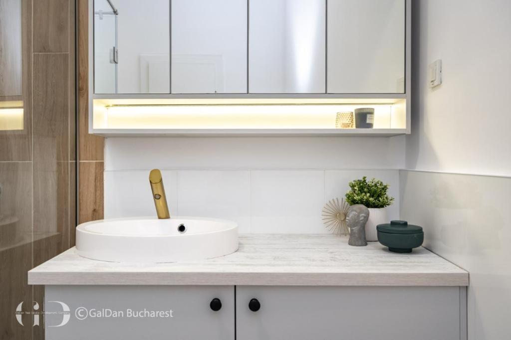 The Loft Luxury Apartments-Near The Park In The City Center 부쿠레슈티 외부 사진